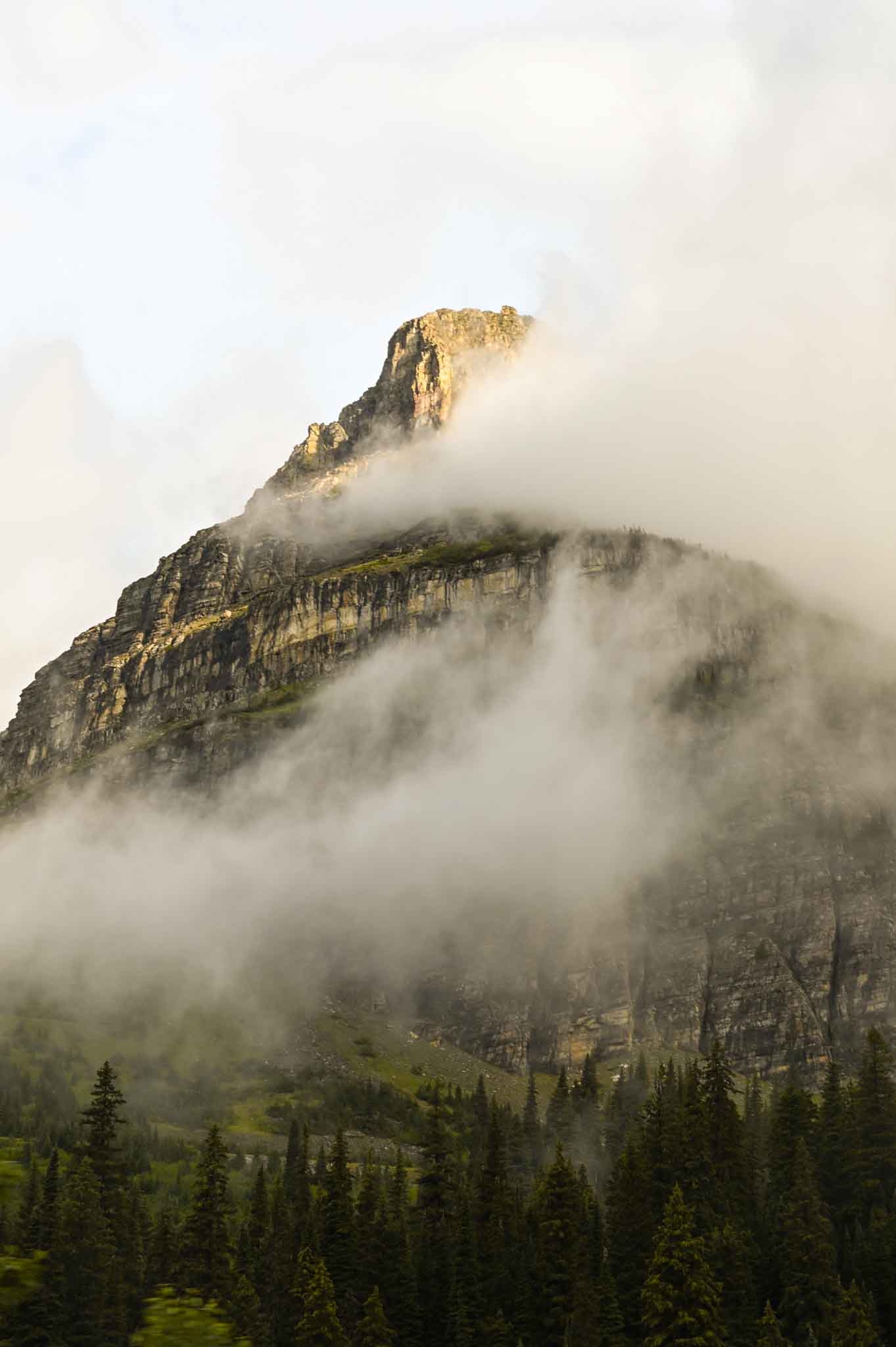 Best photo spots on going to the sun road