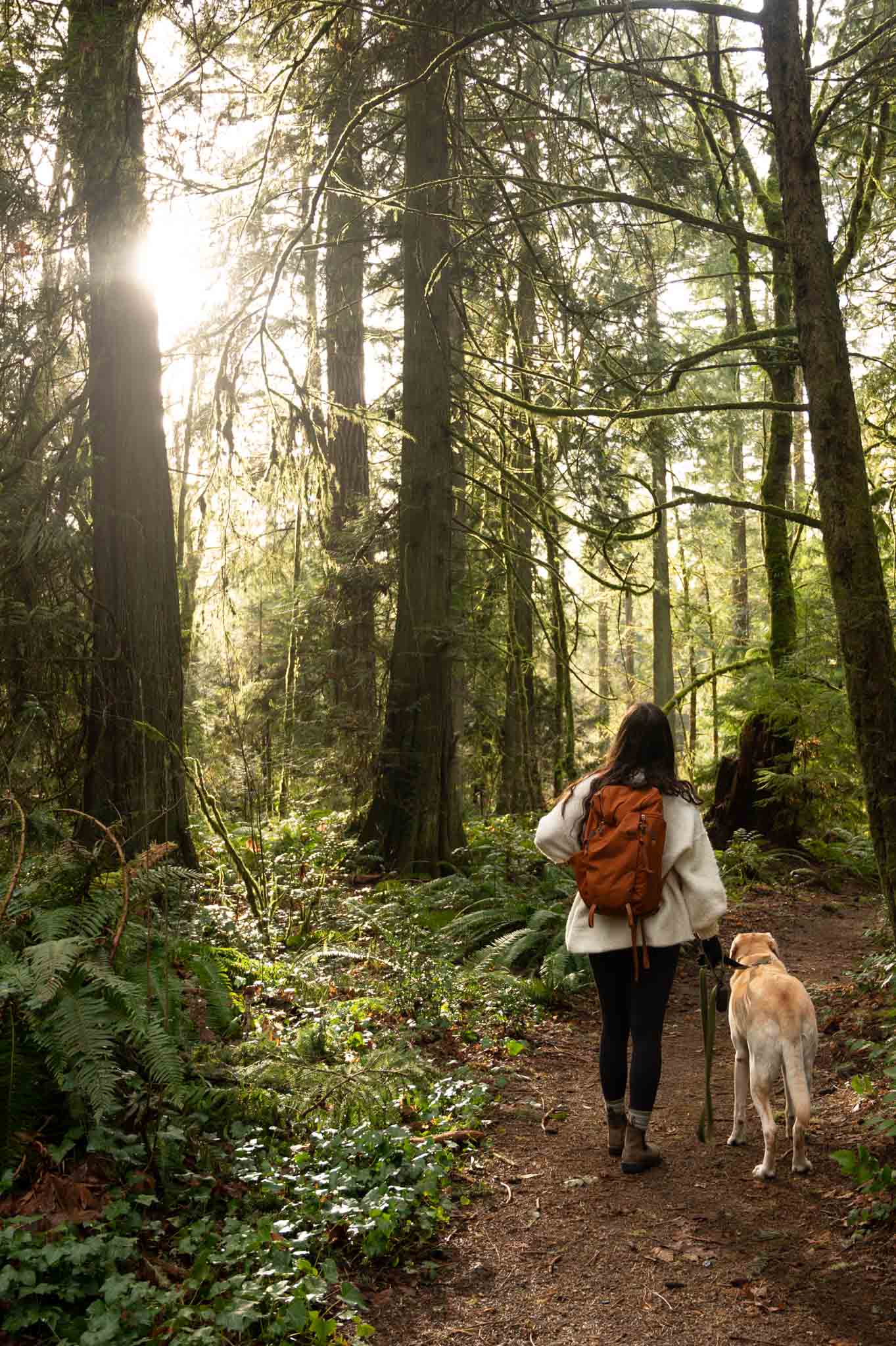 Hiker and labrador retriever sharing hikes in Olympia Washington