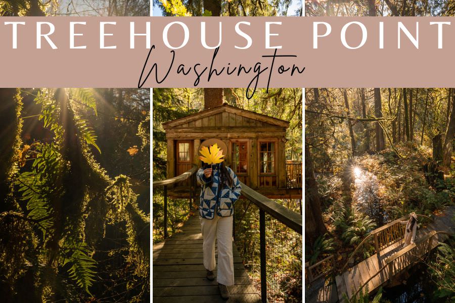 Review of TreeHouse Point Washington