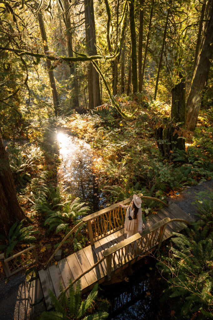 Sustainability content creator in a forest during golden hour at Washington TreeHouse Point