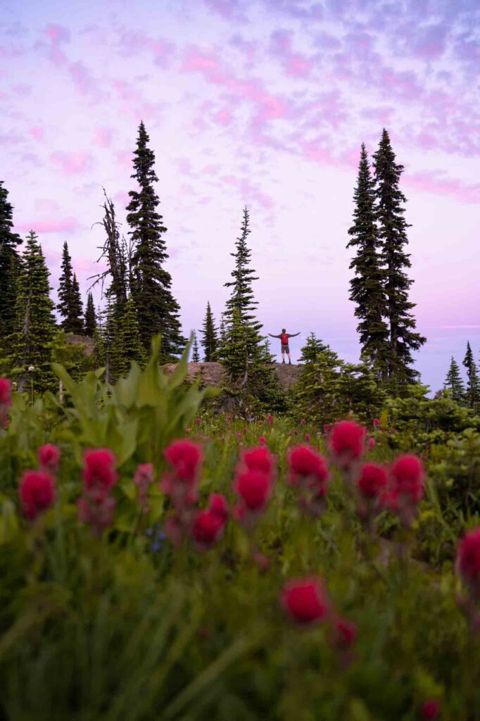 Best Hikes in Washington, PNW hiker doing a Mount Rainier summer hike at sunset with wildflowers in the foreground
