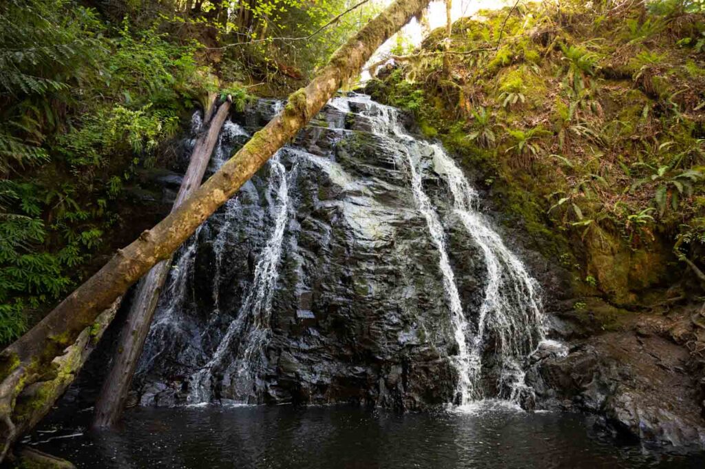 Dickerson Creek Falls, things to do on the Kitsap Peninsula, Kitsap Washington