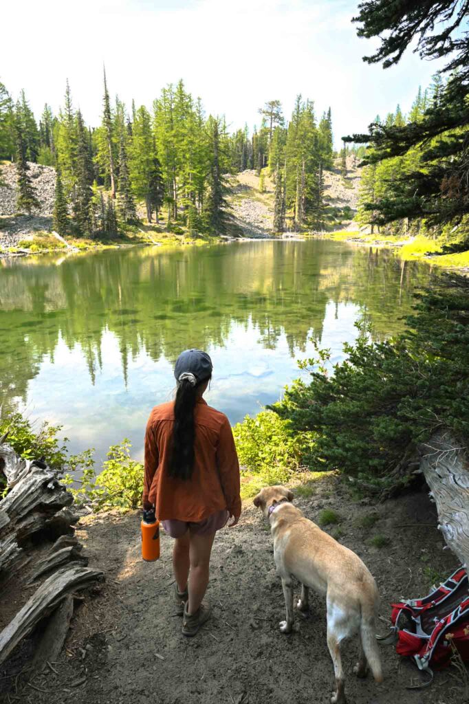 clara and marion lakes, dog friendly hikes washington