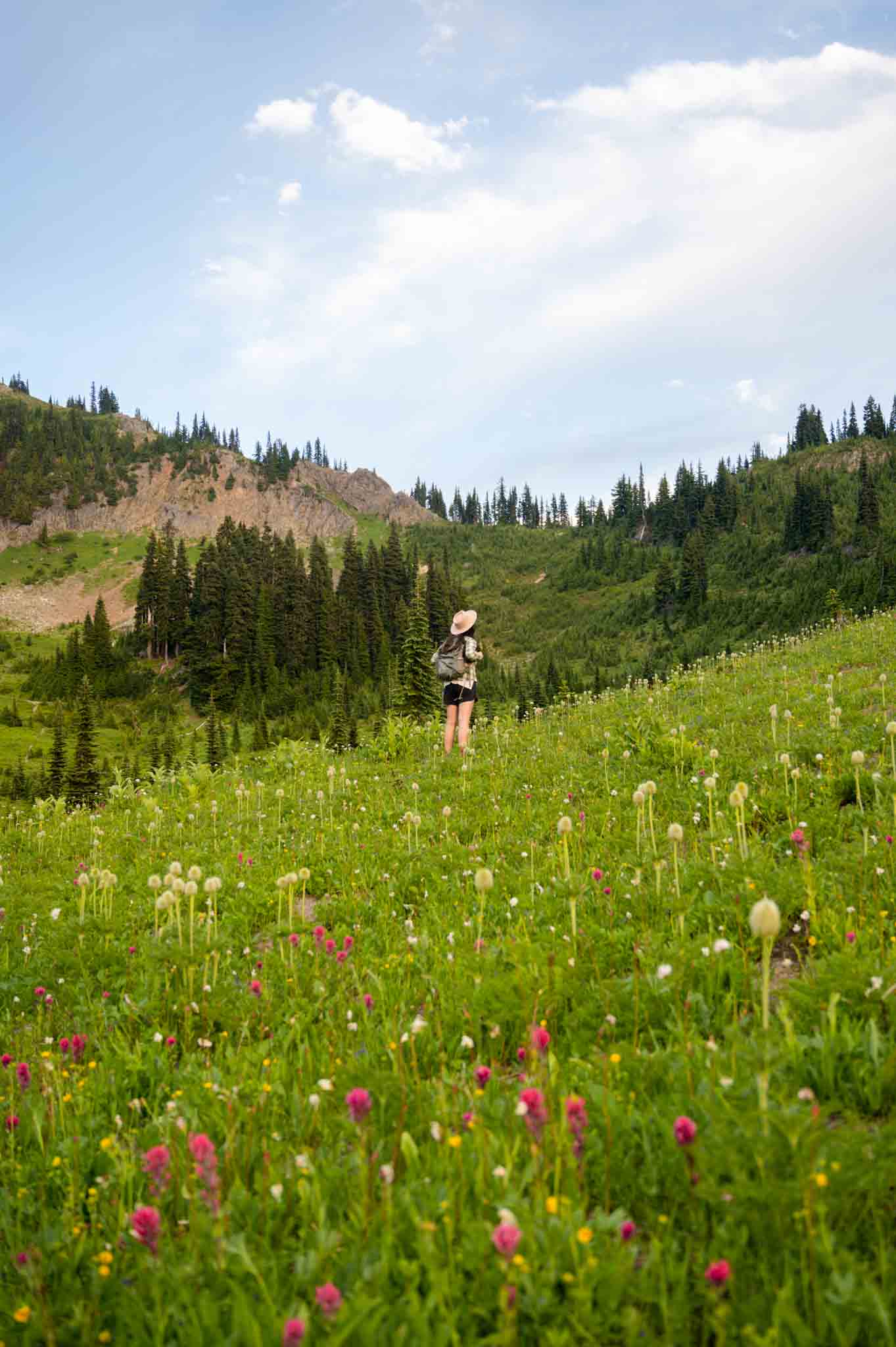 wildlflower hikes in Washington State, Washington Hikes, best hikes in mount rainier national park