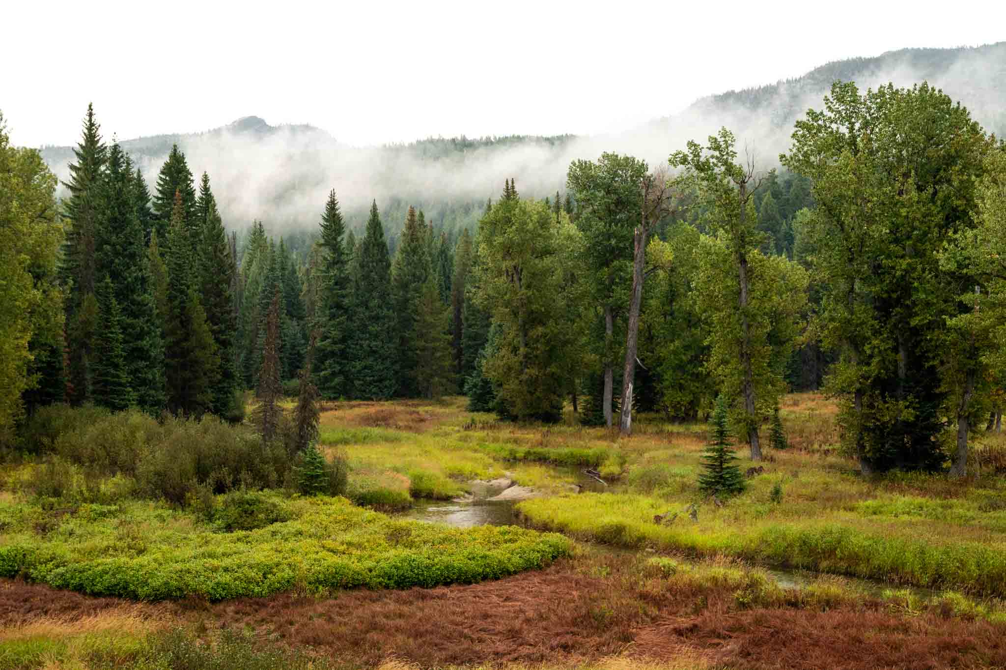 10 Amazing Things to do in McCall Idaho for Outdoor Adventurers